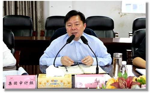 集團黨委委員、紀委書記彭向華強調審計整改工作要深挖思想根源(圖2)