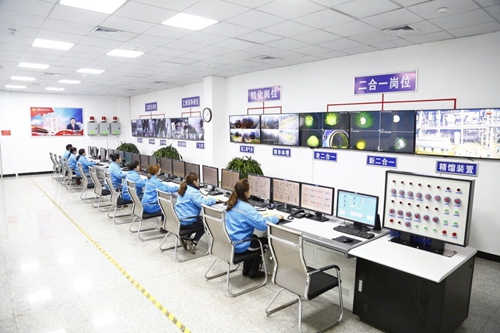 熱火朝天！集團總部140余人到股份公司氯堿分廠開展勞動(圖4)