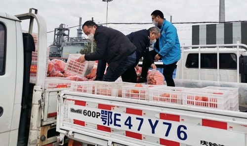 情義無價！山西蘭花公司采購一批生活物資馳援宜化(圖3)