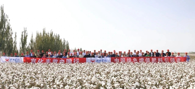 宜化豐收中國行！新疆棉花大型測產(chǎn)觀摩會成功舉行(圖1)
