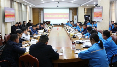 王大真調(diào)研指導(dǎo)股份公司、化機(jī)公司和TMP新項(xiàng)目2020年財(cái)務(wù)預(yù)算工作