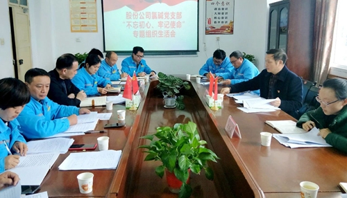 向宇飛列席指導股份公司氯堿黨支部“不忘初心、牢記使命”專題組織生活會